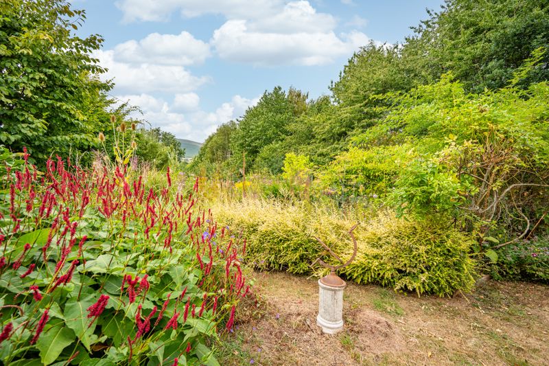 Garden- click for photo gallery